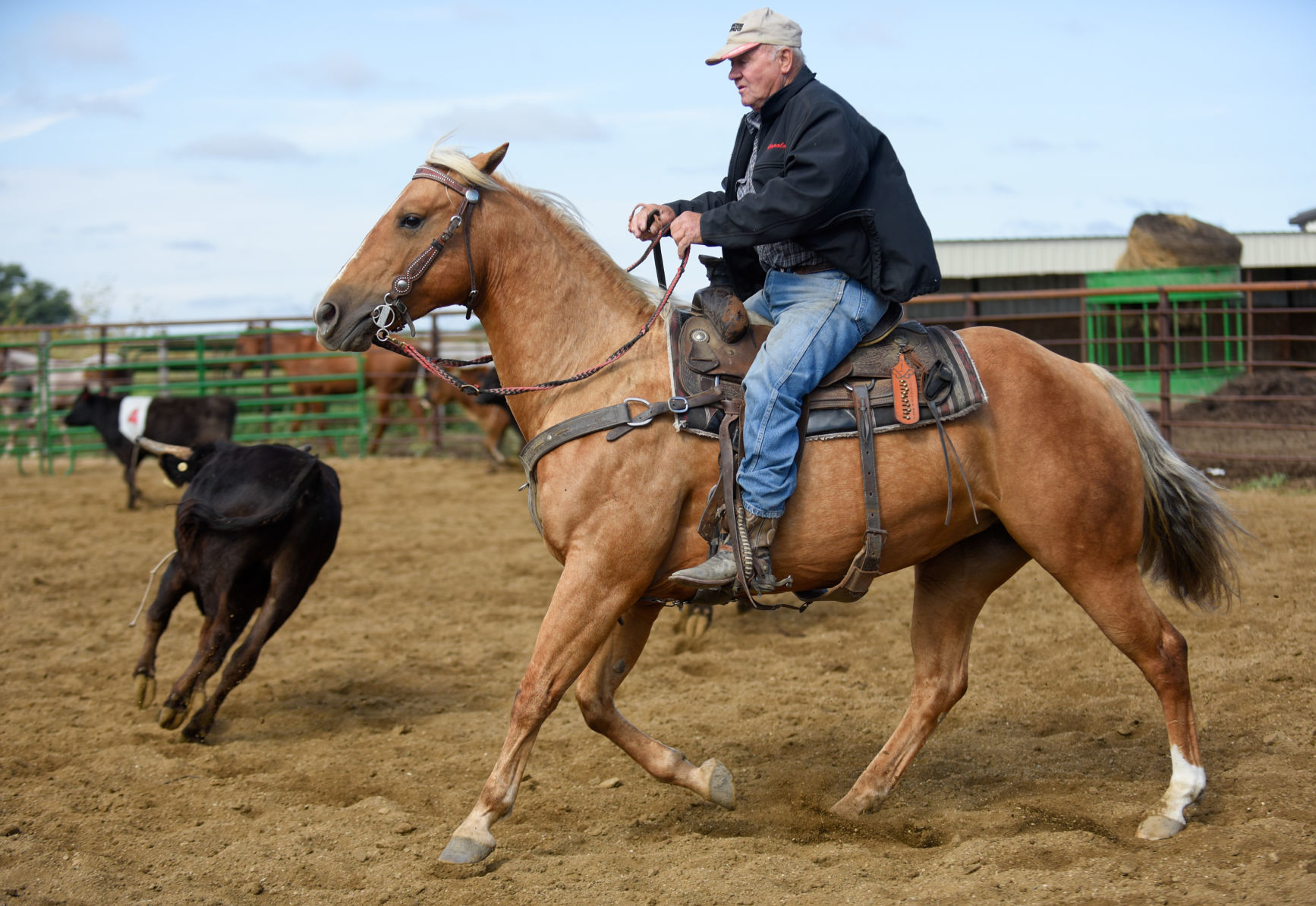 Harold Fischer Horse Penning